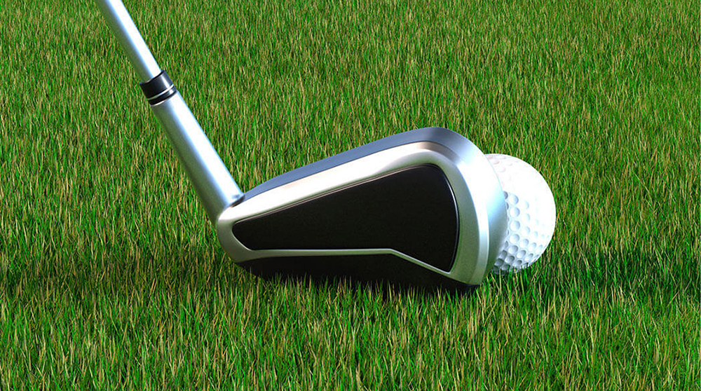 高(gāo)爾夫球杆(gan)